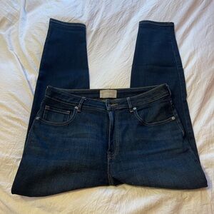 Everlane Curvy High Rise Skinny Jean